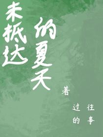 未抵达的夏天