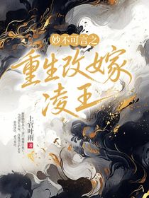 妙不可言之重生改嫁凌王
