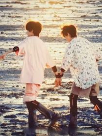 蓝桉之下无枝可依