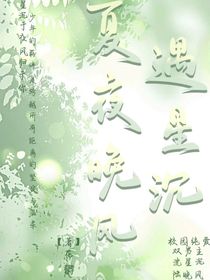 夏夜晚风遇星沉