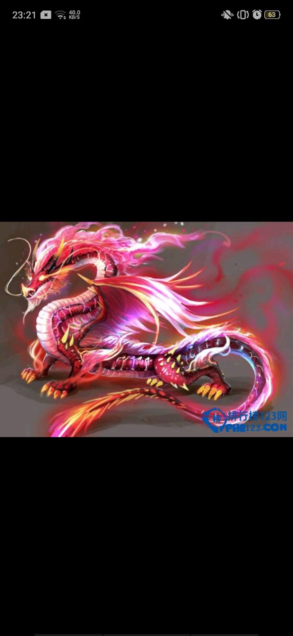 火龙——叶辉坐骑