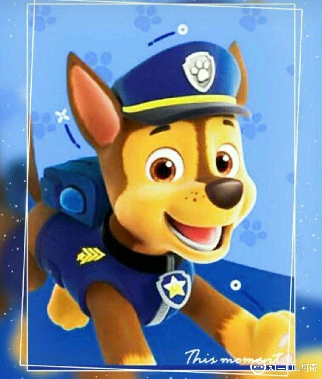 汪汪队立大功之狗狗特工