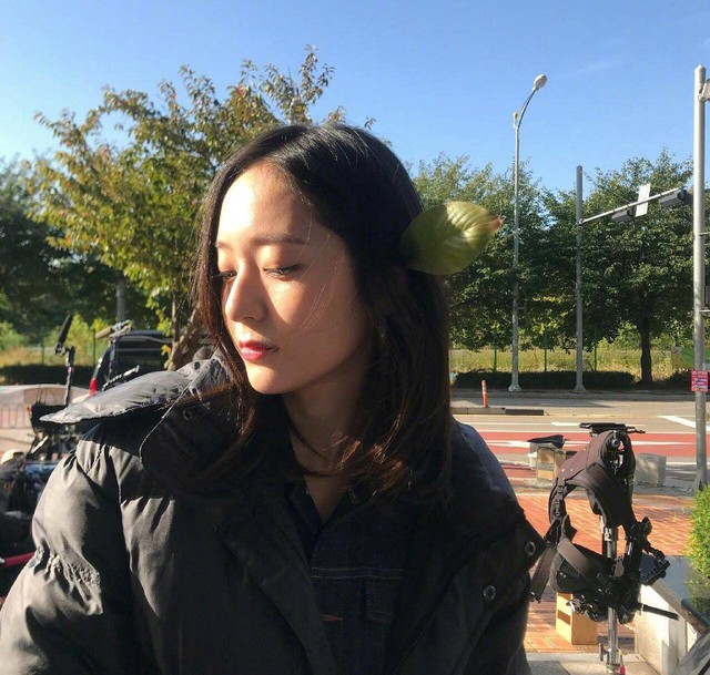 明星同人小说 残影觅光作者卿钰池宥恩客串 角色:裴言安 皮相