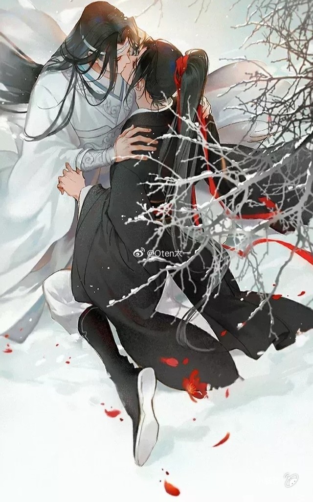 魏婴蓝湛斗图记