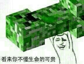 我的世界表情包