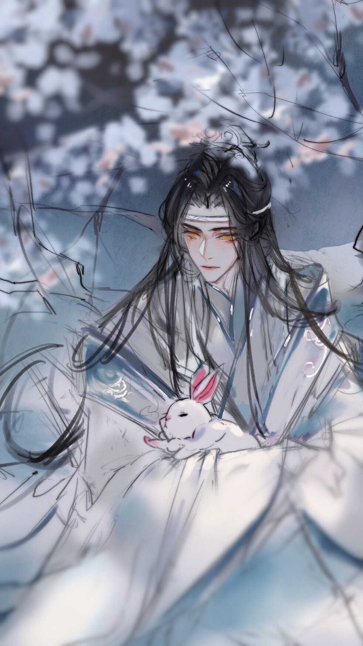 蓝忘机介绍1加含光君图片