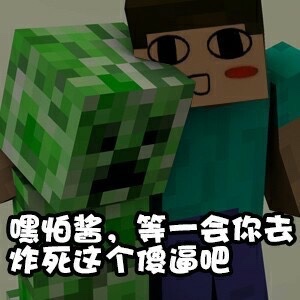 表情包(六)-我的世界表情包-话本小说网