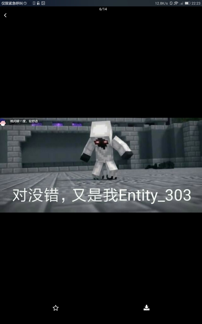 实体303