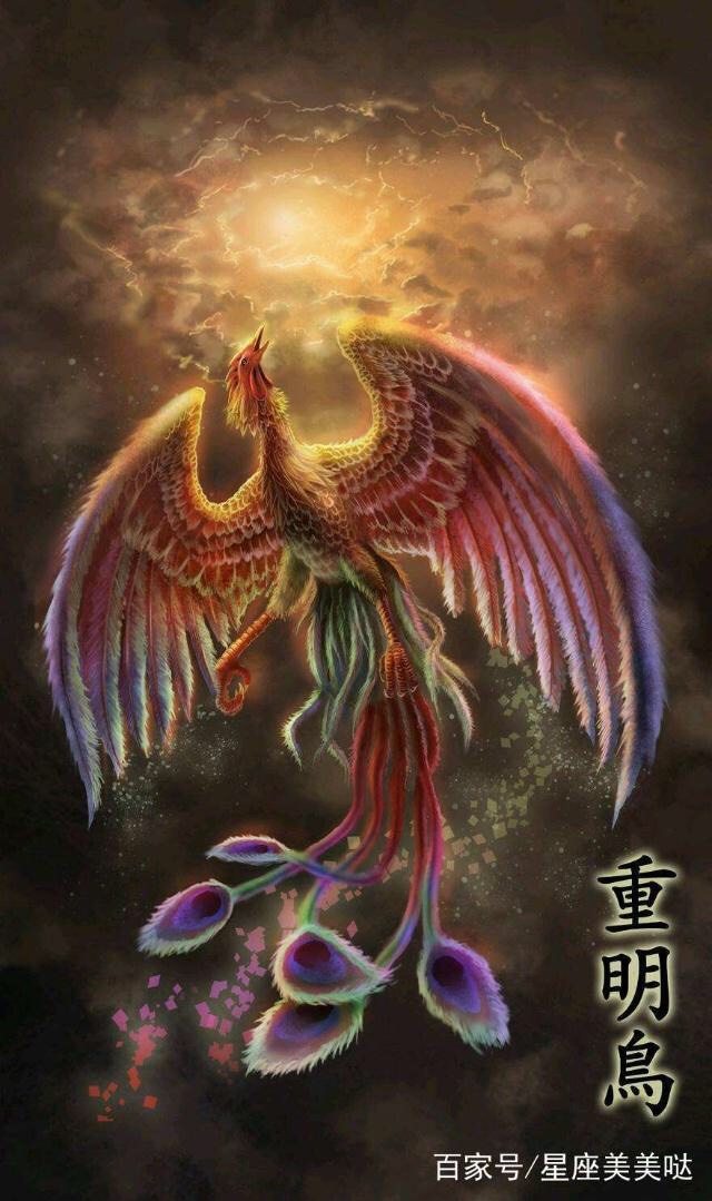 011十二星座守护神兽