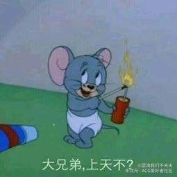 不正经的表情包(不定时更