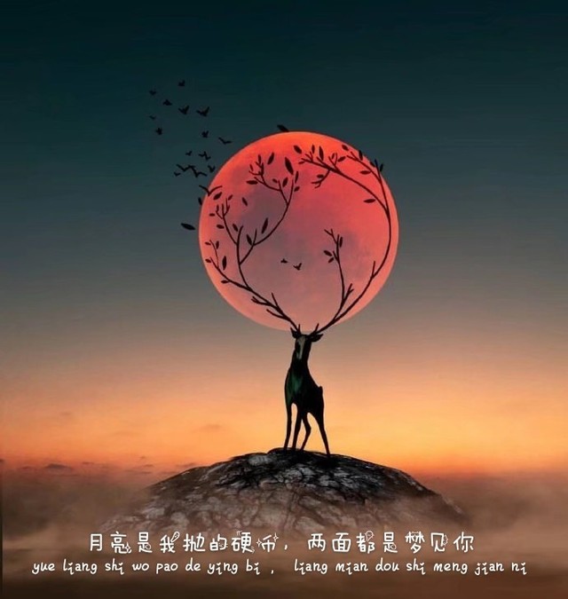 1我不是无牵无挂只是无依无靠