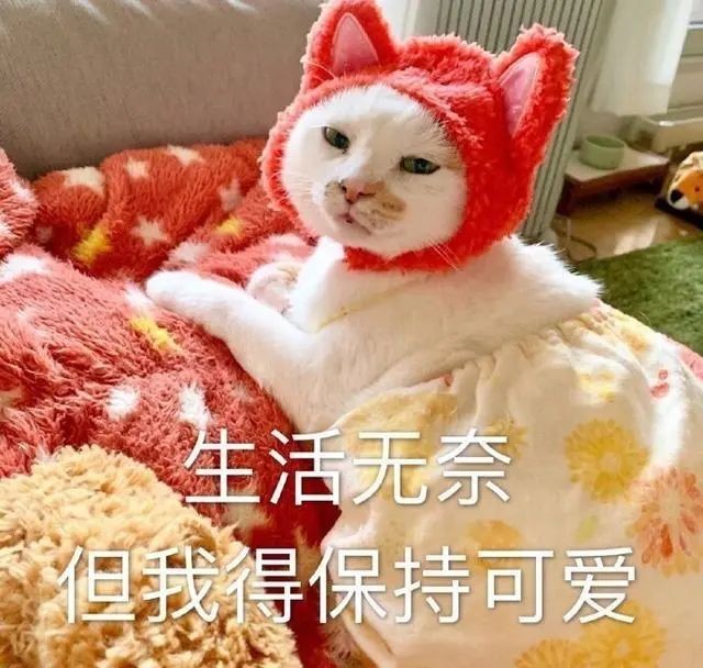 爱谁谁谁老娘不稀罕
