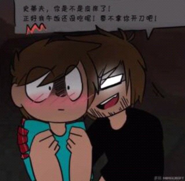 him和stseve的故事