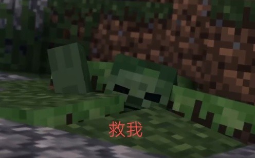 橡木我叫黑暗军团mc小木 橡木有没有一起玩的?