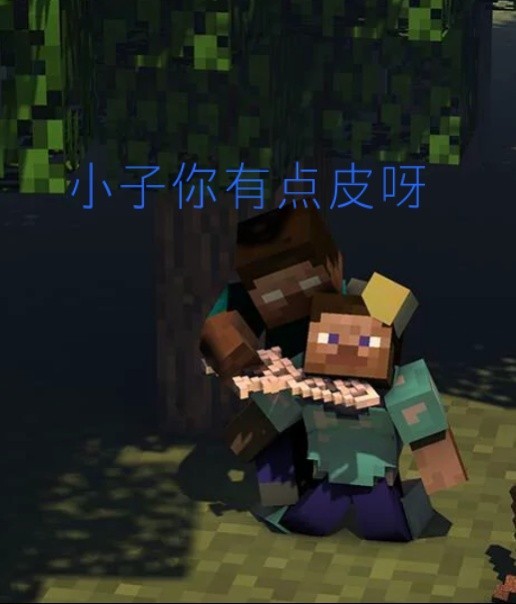 him爱上了末影女王