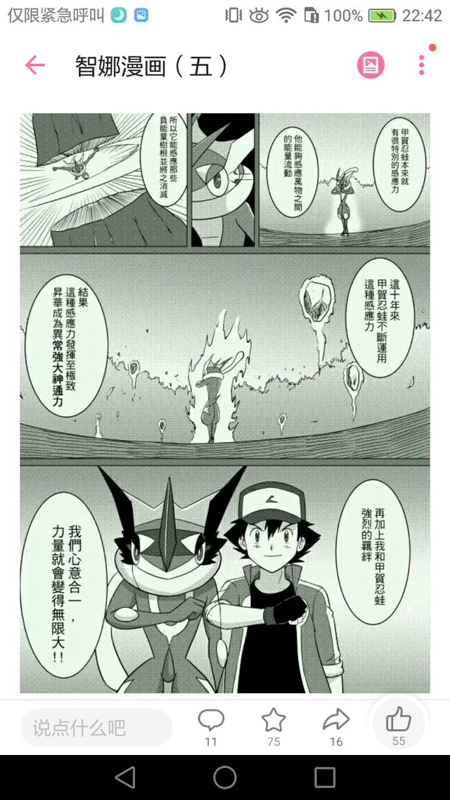 精灵宝可梦智娜再次相见