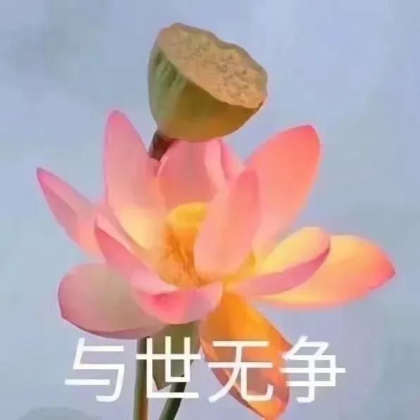 小懿头像杂货铺