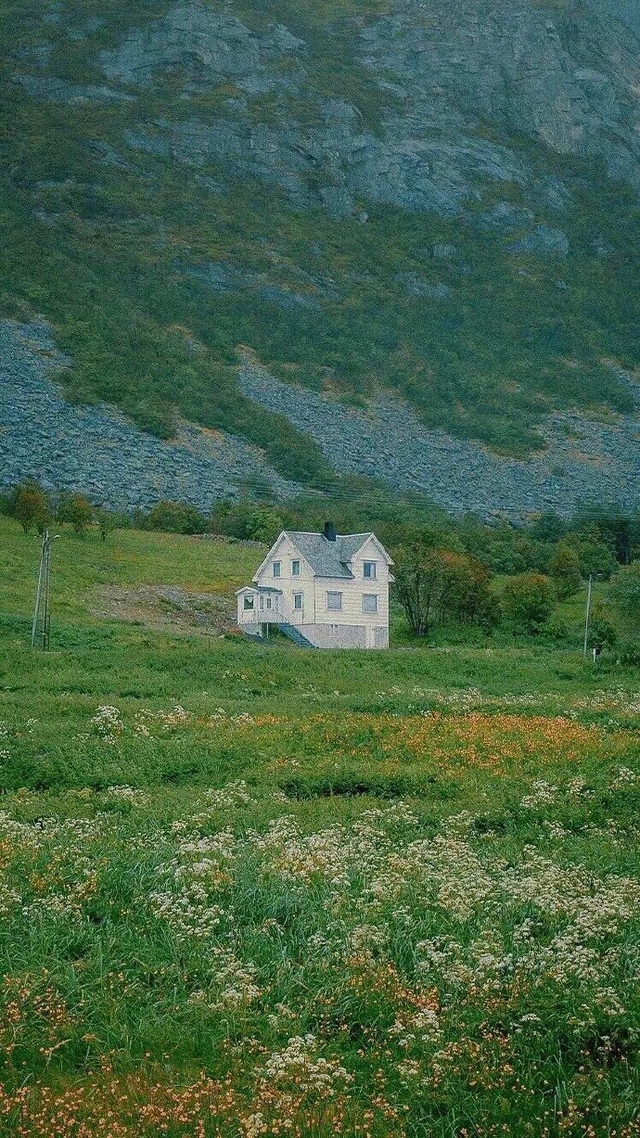 ins图库