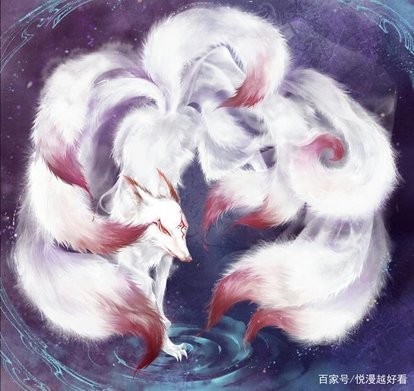 盟卡车神:就是喜欢你