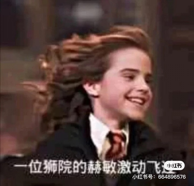 旁白分院ing 麦格新生分院 麦格莉莉 莉莉来啦 分院帽斯莱特林 莉莉我