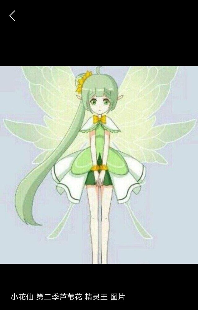 小花仙精灵王之聊天