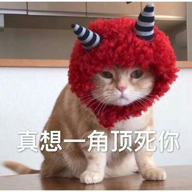 憨憨朋友圈文案【二】