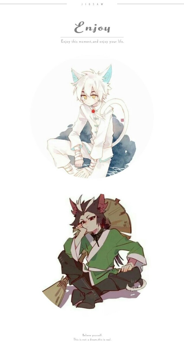 京剧猫之白糖的身份加女化