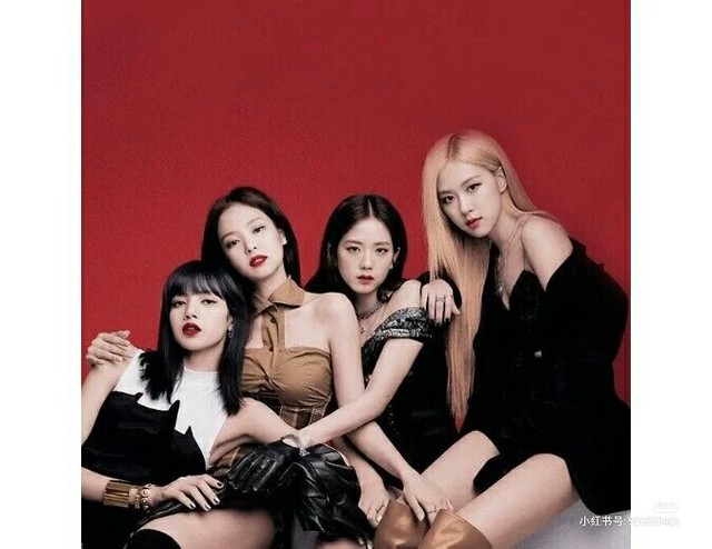 blackpink演唱会合照,blackpink标志 blackpink合照