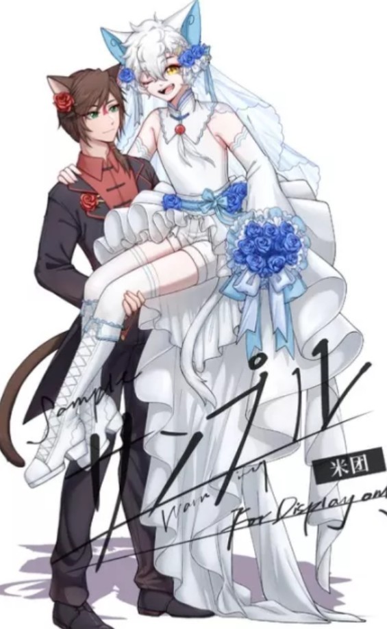 京剧猫之最后的微光