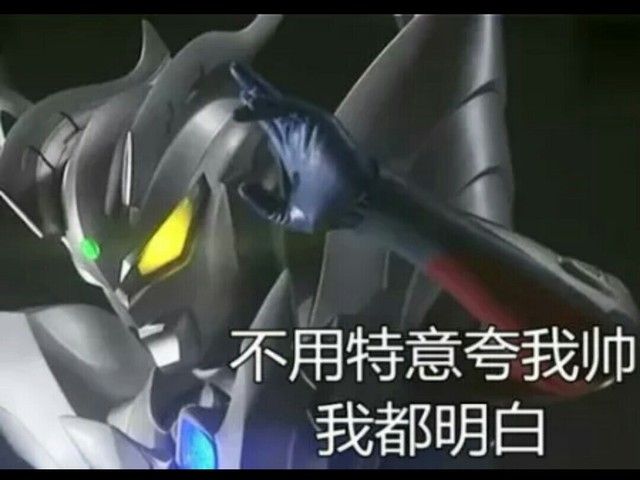 赛兔子
