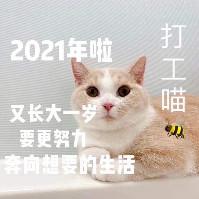 傻了吧唧(打赏加更)