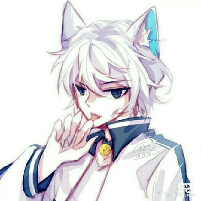 美羊羊的男友是只猫