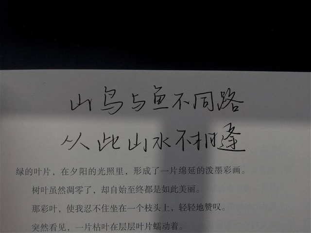 文字壁纸-酥辞壁纸文案馆-话本小说网