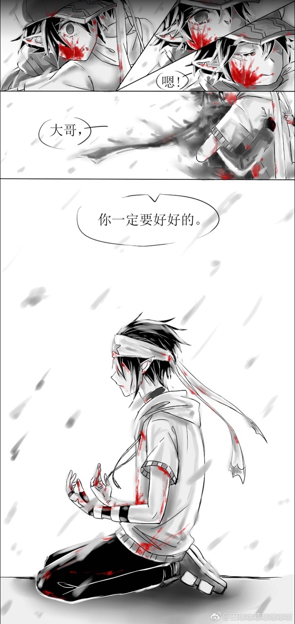 凹凸世界雷狮与卡米尔