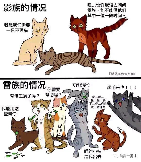 赤杨心疯了?-奇怪的猫武士增加了-话本小说网