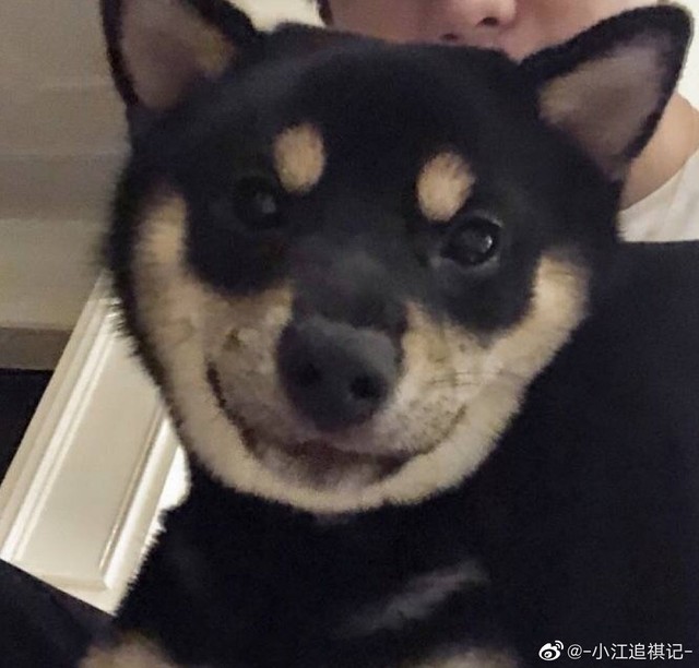 马嘉祺