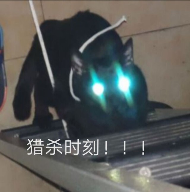 bewitch48%猎杀时刻-tnt:爱她风情万种-话本小说网