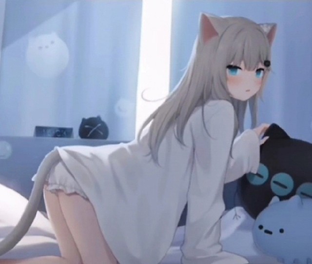 实体303——萌化的友谊