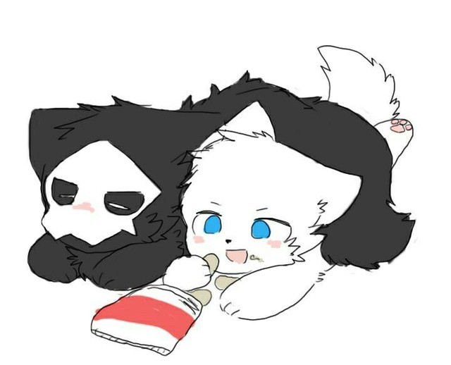 changed(喵鲨和乌贼犬的生活)