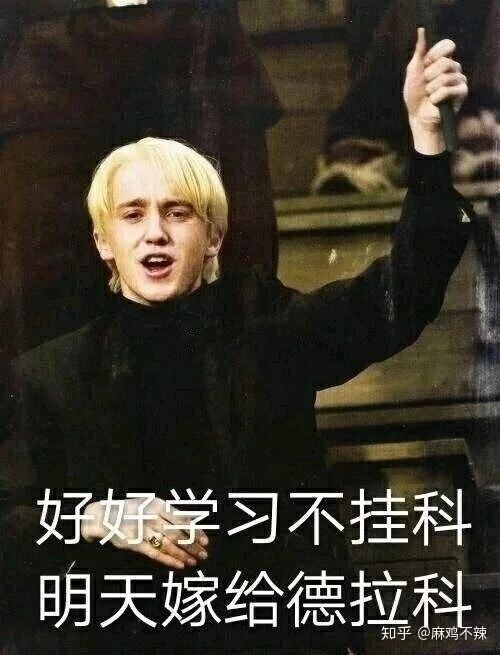 一个沙雕的hp表情包库-霍格沃兹之凤凰泪-话本小说网