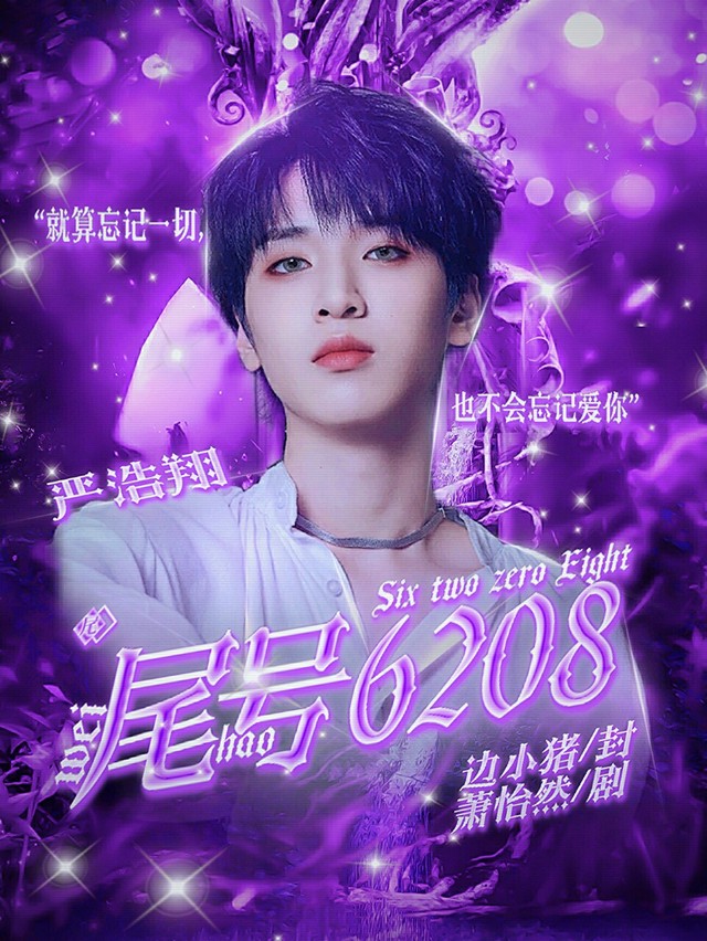 《严浩翔—尾号6208》