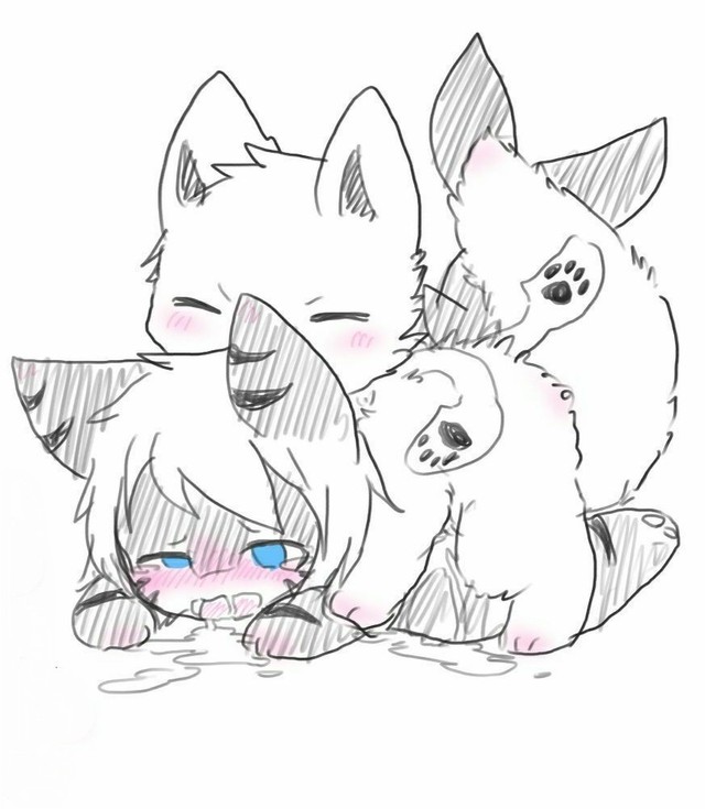 changed乌贼犬喵鲨污图,changed乌贼犬x猫鲨 changed日常搞事