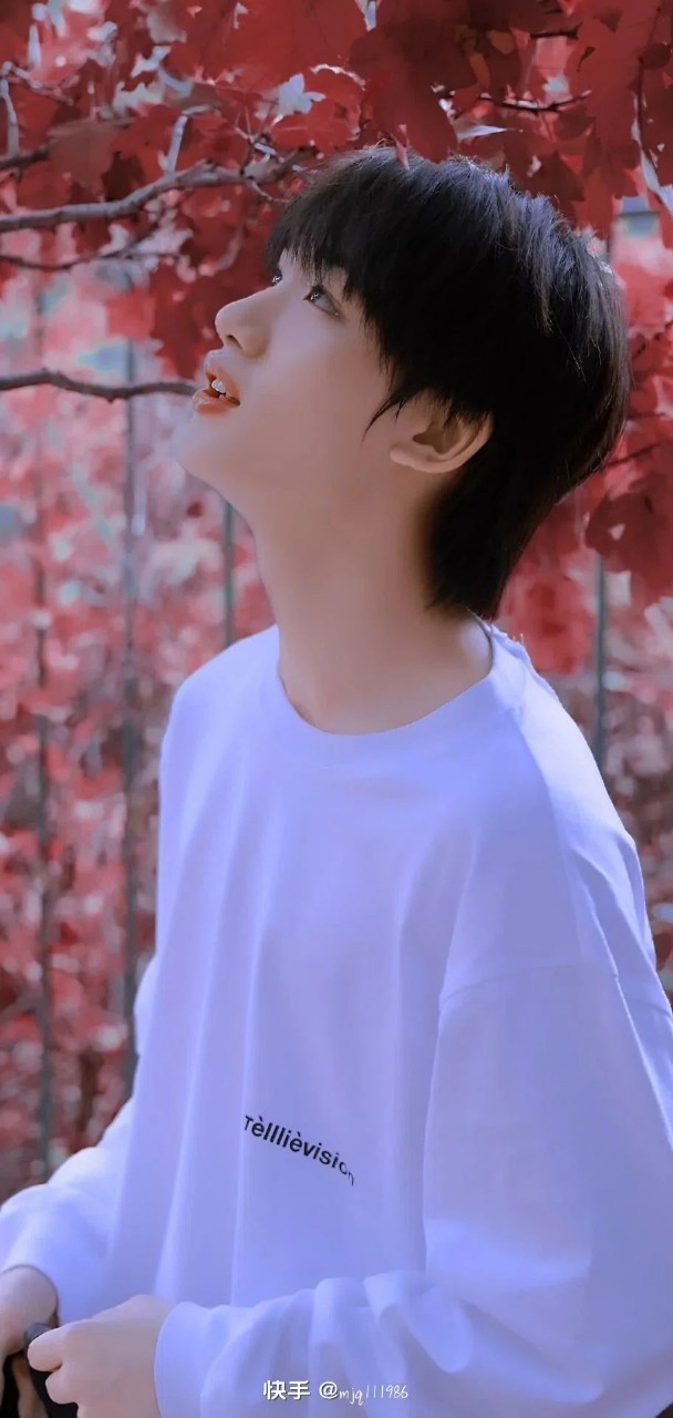 TNT时代少年团,丁程鑫,时代少年团,张真源 tnt时代少年团——丁程鑫