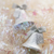 铃声君
