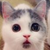 黄陈杰