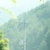 懵逼司機