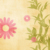 夏妈妈