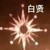 边伯贤