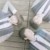 TFBOYS
