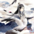 秦宇